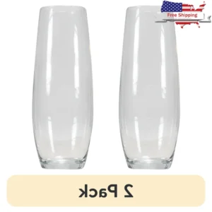 2 Pack Clear Glass Bud Vase for Floral Display